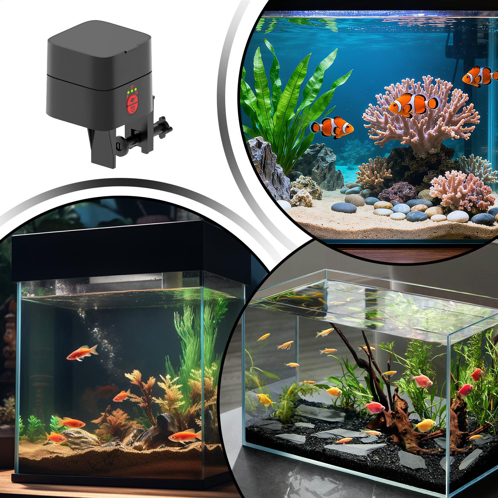 Akvaryum için Otomatik Balık B - Fishing Line Dispenser incelemesi ve fiyatı
